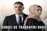 Boboci De Trandafiri Episodul 16 Subtitrat in Romana