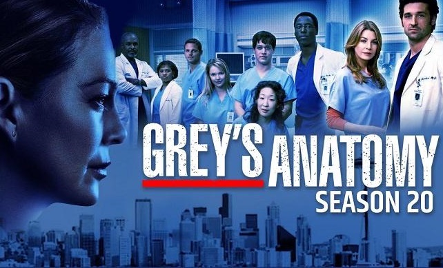 Anatomia Lui Grey Sezonul 20 Episodul Subtitrat in Romana