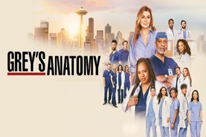 Anatomia lui Grey Sezonul 21 Episodul subtitrat în română